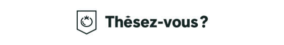 logo-thesez-vous